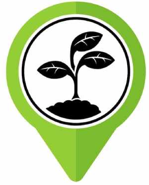 ícono de cultivo de café de origen